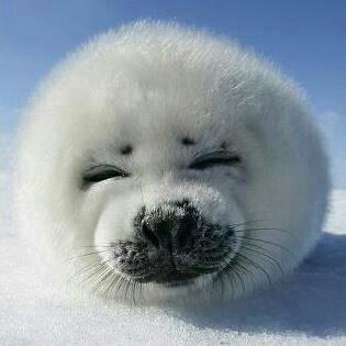 ddr253197's profile picture. 