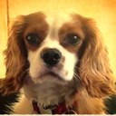 Dave Maher - @dmaher2007 - Twitter