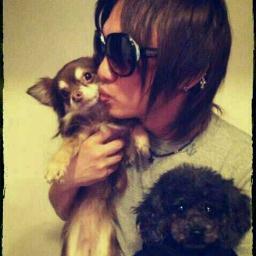 palsystem2514's profile picture. 