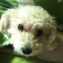 Romy Wong - @WongRomy - Twitter