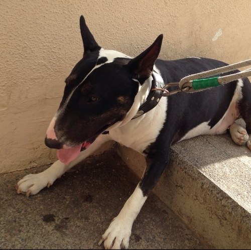 1977Pepe's profile picture. 