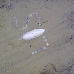 lisbertherbert's profile picture. love JESUS always