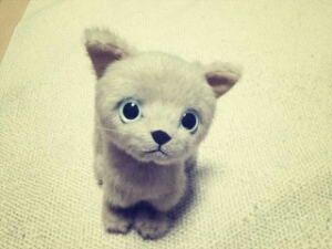 ruki_t's profile picture. 時々、好き勝手言っています。