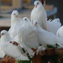 Life is very beautiful time for every moment so enjoy your life...all the best