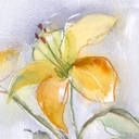 Travis Mount - @TravisMount2 - Twitter