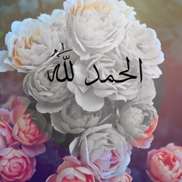 Follow Please #RETWEET