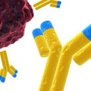 Joshua Weitz, MD - @yourallergist - Twitter