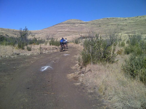 OutofshapeJimmy's profile picture. 