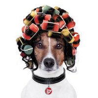 RIRE SUR LA VILLE (@riresurlaville) 's Twitter Profile