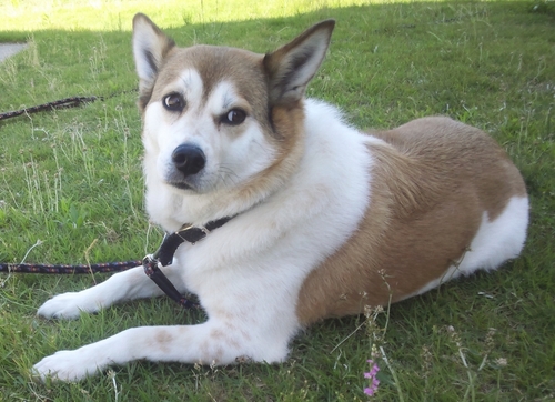 Nodenssss's profile picture. Tarkovはじめました