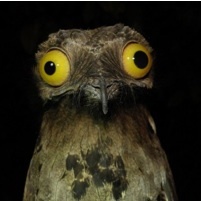 chrisivens's profile picture. One armed, one legged spinning jenny