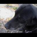 SCOTT LAKEY - @lakeyscott - Twitter