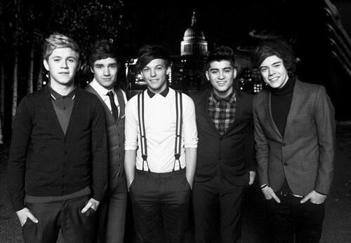 #DIRECTIONER in my blood ▲