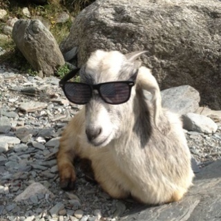 ps_manu's profile picture. What? You search? You would multiply yourself by ten, by a hundred? You seek followers? Seek zeros!