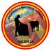 AfiPracticosValencia (@aficionadosvlc) Twitter profile photo AfiPracticosValencia (@aficionadosvlc) Twitter profile photo