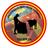 AficionadosVLC's profile image