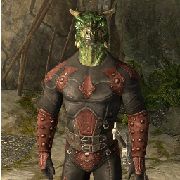 Assassin In the Dark Brotherhood. Argonian. And the last of the Shadowscales