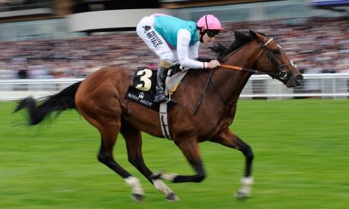 #beatthebookies soccer, gaelic and horse racing tips.