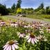 Sutton Parks (@lbsuttonparks) Twitter profile photo