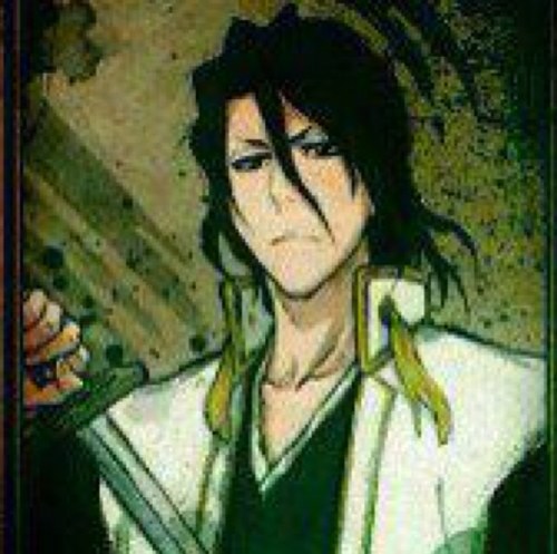I am Kuchiki Byakuya, taichō of the sixth division. I will always stand by what I know is just, and nothing will interfere will that true nobility. [Bleach--RP]