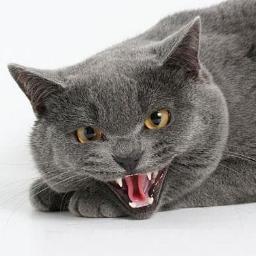 akimov_den's profile picture. Любимые игры:World Of Warcraft на UaWOW, Illidan, Dragon Age, Elder Scroll