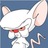 phytagoras's profile image