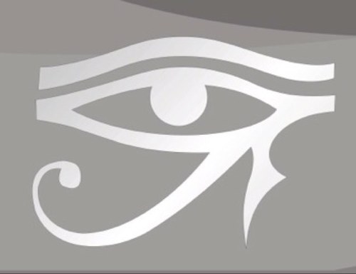 Optometrista         Terapeuta Visual