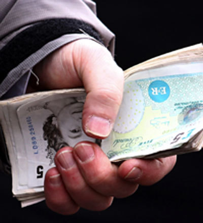 Value tips for greyhounds, football, horse racing