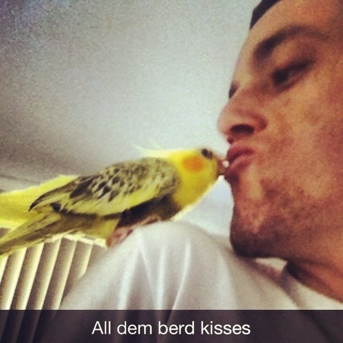 shredderanyos's profile picture. 