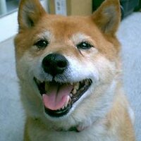 Jun Sasaki (@juns_trb) 's Twitter Profile