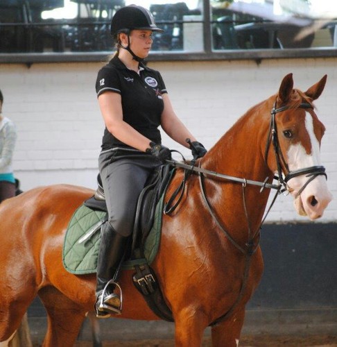 Live your life | Shake off the weight of the world from your shoulders | ℒℴνℯ, ℒινℯ & ℬℯℓιℯνℯ | ❤ 25-6-14 One Direction concert  | 17 | Friends ❤ | Horse riding