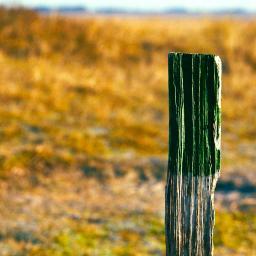 ExIF13's profile picture. cMOOC „Entdecke die Insel der Forschung“ (#ExIF13)