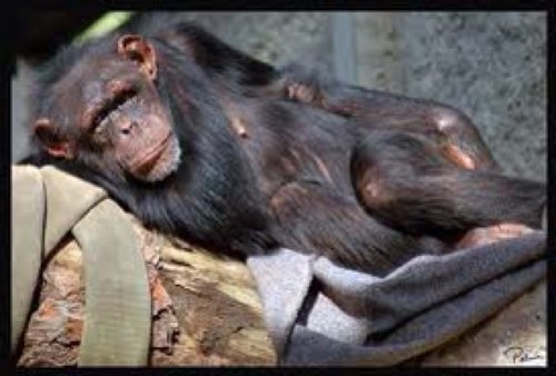 picotas17's profile picture. Miembro del amor puro. Creo en el amor mas q en mi vida.