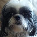 Renee Ball - @Renee_yamashina - Twitter