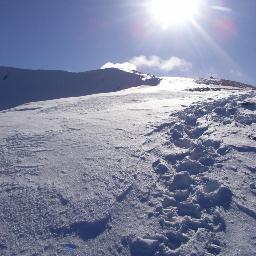 Bloom_in_Nature's profile picture. Organic Medical Herbalist supporting your journey to the aliveness of physical, mental and spiritual harmony of your being - through nature's healing herbs.