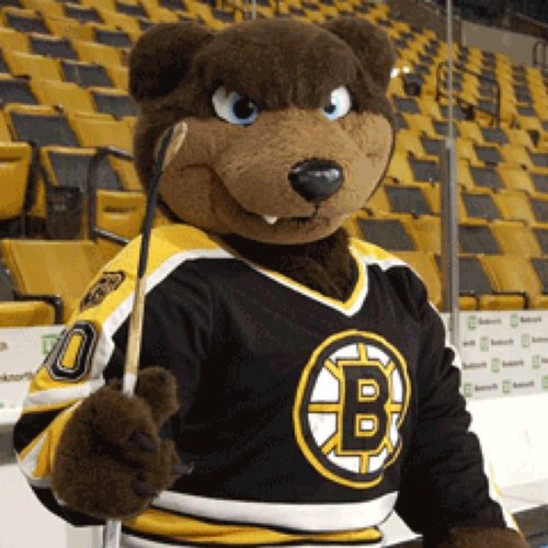 BOSFearTheBear's profile picture. I wipe with Maple Leafs