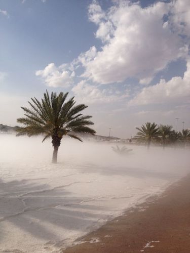 bswa36's profile picture. 