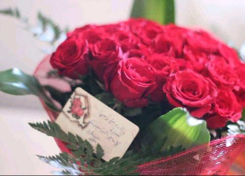 حلـميَ گـﺑﯾړُ ۆﺂﻧ ﻗ̮ـ̃آﻟھَہّ آﻟﻟھَہّ ﻟﻁۆﻟھَہّ 🇸🇦(( هاوية للتصوير ، القهوة ))💛🦋 (( أحب الطبخ )) snap::umraed.07