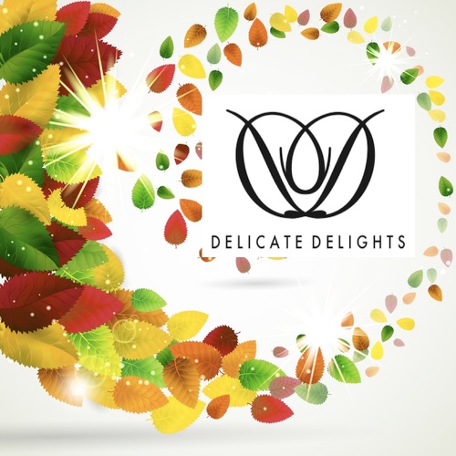 Honest Wholesome Delights... Light, Tasty Low Calorie Rice Bar Delights Vegan