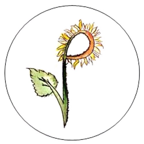 peterboroughveg's profile picture. A friendly group of non meat eaters based in and around Peterborough, UK. Gathering at PECT offices every 2nd Tues of Month 7-9.30pm