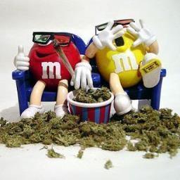 HempyD's profile picture. follow = follow back Get rich or die trying