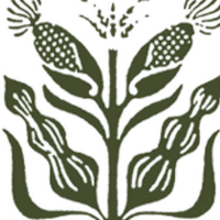 Tangerini's Farm (@tangerinisfarm) 's Twitter Profile