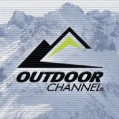 LiveEagleCam's profile picture. 