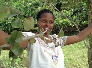 ladysalome2008's profile picture. 