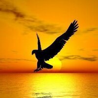 OneCoin GlobalTeam (@one_coin_global) 's Twitter Profile