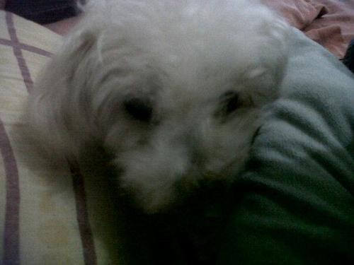 arce_fajardo's profile picture. 