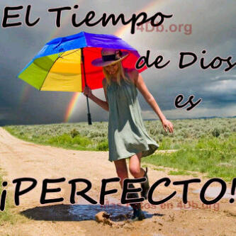 Jesu Cristo el Rey