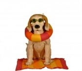 liveonaboat's profile picture. We really do live on a boat. A dog-loving liveaboard family with liveaboad lifestyle how2s,  advice and attitude.