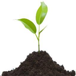Performing due diligence in the Potash and Agriculture sector.  Responsible investing and dissemination of information with a focus in Ethiopia.