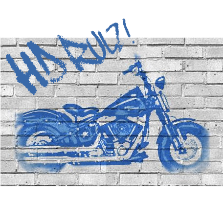 Biker Geek